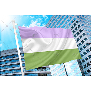 Genderqueer Pride Flag | Aromantic Flag Store PN2101