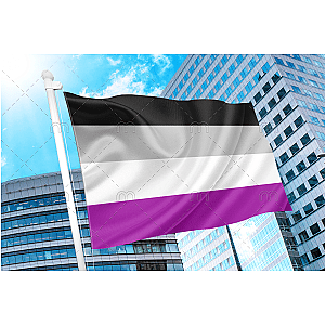 Asexual Pride Flag | Aromantic Flag Store PN2101