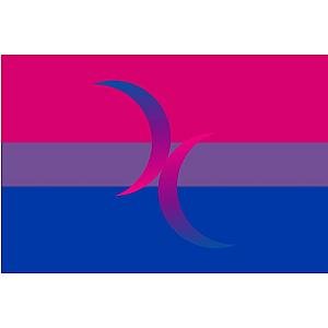 Bisexual Moons Flag | Aromantic Flag Store PN2101