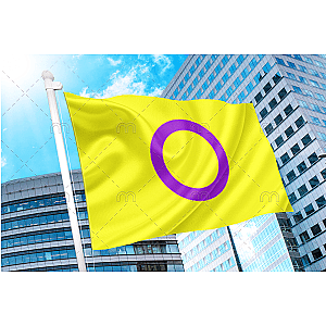 Intersex Pride Flag by Organization Intersex International Australia | Aromantic Flag Store PN2101