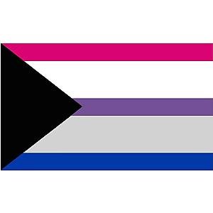 DemiBisexual Flag | Aromantic Flag Store PN2101