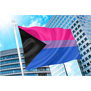 DemiBisexual Pride Flag | Aromantic Flag Store PN2101