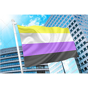 Non Binary Pride Flag | Aromantic Flag Store PN2101