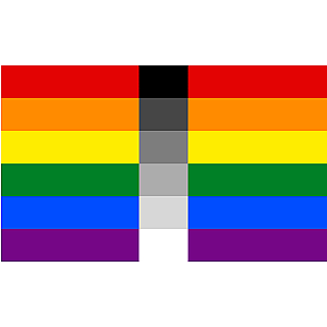 Homoflexible Pride Flag | Aromantic Flag Store PN2101