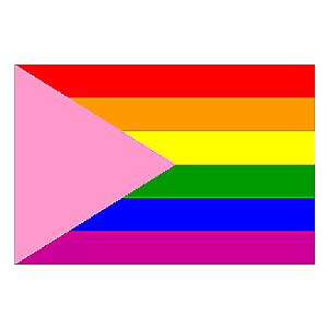 Pink Triangle Pride | Aromantic Flag Store PN2101