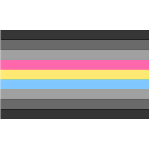 Gray Pansexual Pride Flag | Aromantic Flag Store PN2101