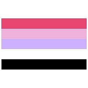 Reciprosexual flag | Aromantic Flag Store PN2101