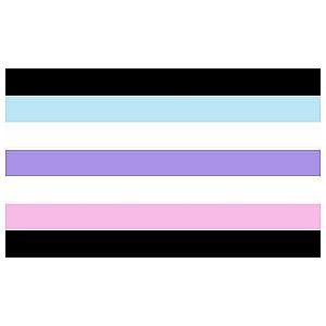 Alternate Androgyne Flag | Aromantic Flag Store PN2101