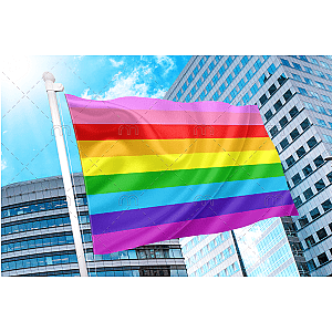 Nine Striped Rainbow Flag - Gilbert Baker | Aromantic Flag Store PN2101