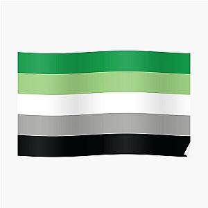 Aromantic Posters - Aromantic Pride Flag Poster RB1901