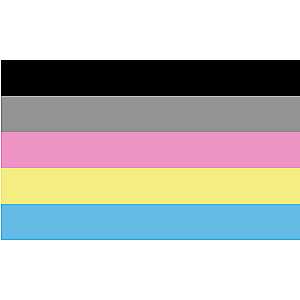 Polygender Pride flag | Aromantic Flag Store PN2101