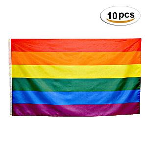 10 Pieces Gay Pride Flag (3x5) | Aromantic Flag Store PN2101