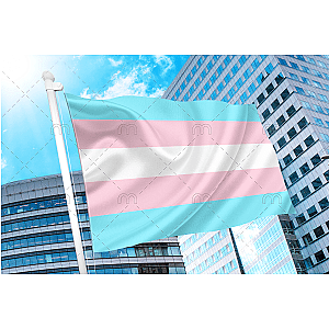 Transgender Pride Flag - Trans Flag | Aromantic Flag Store PN2101