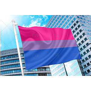 Bisexual Pride Flag - Bi Flag | Aromantic Flag Store PN2101