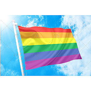 Gay Pride Rainbow Flag | Aromantic Flag Store PN2101