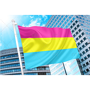 Pansexual LGBT Pride Flag | Aromantic Flag Store PN2101