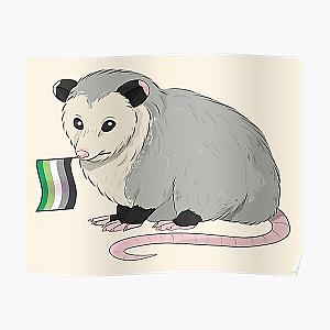 Aromantic Posters - Aromantic Pride Flag Opossum Poster RB1901