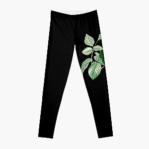 Aromantic Leggings - Aro Pride Vintage Flower and Leaves Leggings RB1901