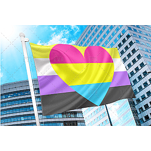 Non Binary Pansexual Flag | Aromantic Flag Store PN2101