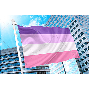 Femme Lesbian Pride Flag | Aromantic Flag Store PN2101