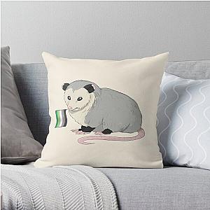 Aromantic Pillows - Aromantic Pride Flag Opossum Throw Pillow RB1901