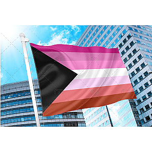 Lesbian Demisexual Flag | Aromantic Flag Store PN2101