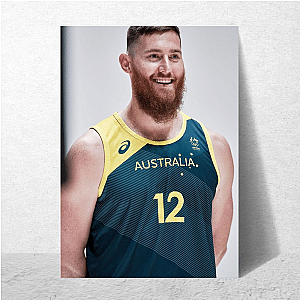 Physical Rebounding Presence Aron Baynes Posters