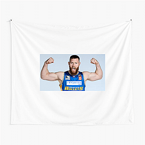 Hard-Screen Setting Center Aron Baynes Tapestries