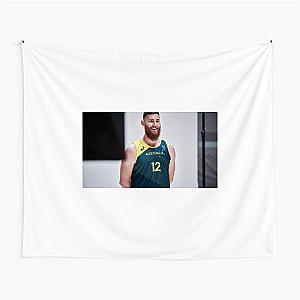 Physical Rebounding Presence Aron Baynes Tapestries