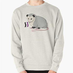 Asexual Flag Sweatshirts - Asexual Pride Flag Opossum Pullover Sweatshirt RB1901