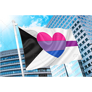 Biromantic Demisexual Flag Official Store PN2001