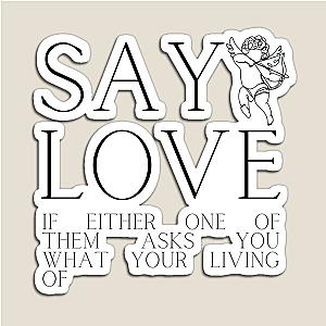 The Avett Brothers - Say Love