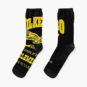 Avril Lavigne Sk8er Boi Green Wilkesboro vintage Socks