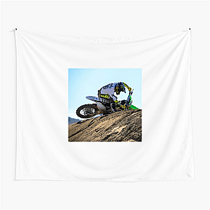 Axell Hodges X Games Gold Axell Hodges Tapestries