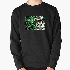 Axell Hodges The Real Deal Axell Hodges Sweatshirts
