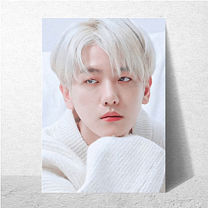Baekhyun EXO Main Vocal Baek Hyun Posters