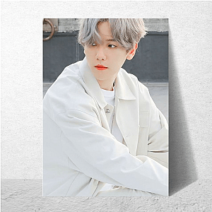 Baekhyun Beyond The Stage Baek Hyun Posters