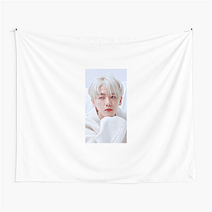 Baekhyun EXO Main Vocal Baek Hyun Tapestries