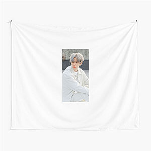 Baekhyun Beyond The Stage Baek Hyun Tapestries