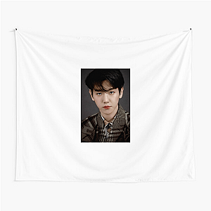 Baekhyun Global Vocal Talent Baek Hyun Tapestries