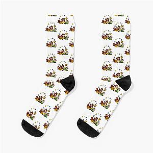 Banjo Kazooie Socks