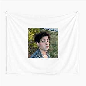 Benji Krol = Softboy Supreme Benji Krol Tapestries