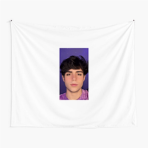 Benji Krol Sees in Aesthetic Benji Krol Tapestries