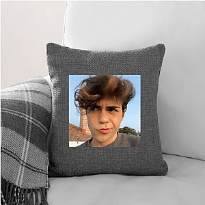 Moodboard in Motion Benji Krol Pillows Cover
