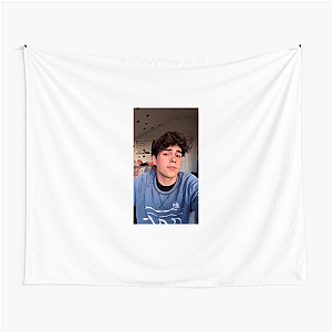 Filterless Feels – Benji Style Benji Krol Tapestries
