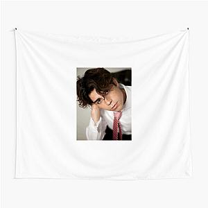 Pretty Boy. Messy Mind. Benji Krol Tapestries