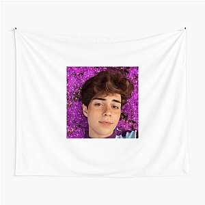 Vulnerable Is the Vibe Benji Krol Tapestries