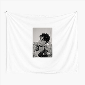 Internet Crush Since Forever Benji Krol Tapestries