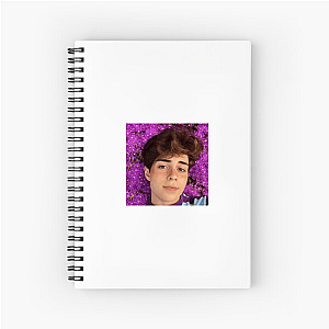 Vulnerable Is the Vibe Benji Krol Notebook