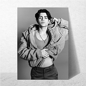 Dreamy. Moody. Posted. Benji Krol Posters